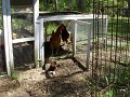 FL Trip_3-2018 (23)